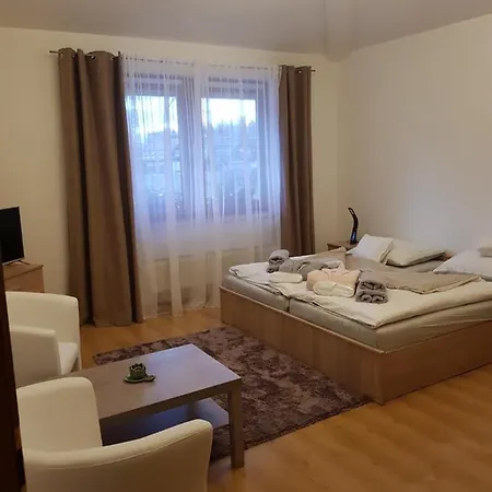 Pensión Vlasta 4*